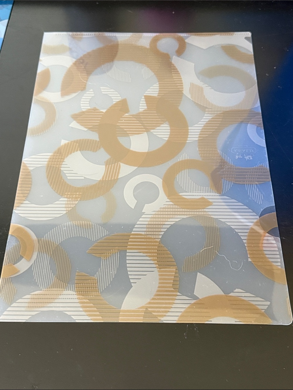 Coach Gold Circle C Clear File Folder